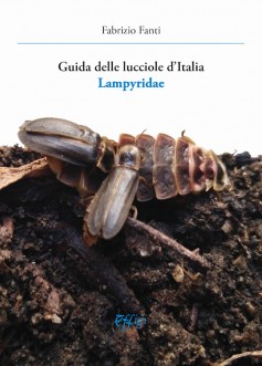 Guida delle lucciole d'Italia - di Fabrizio Fanti